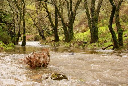Imagen 6. Camino de Villareal
